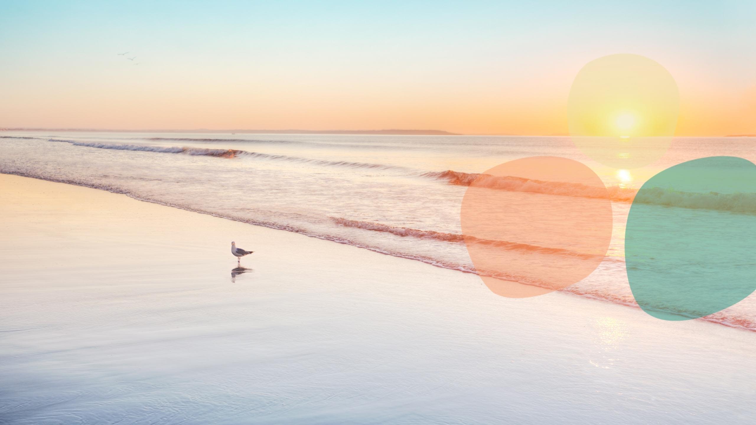 image of a beach at sunrise with the RNE logo superimposed on top