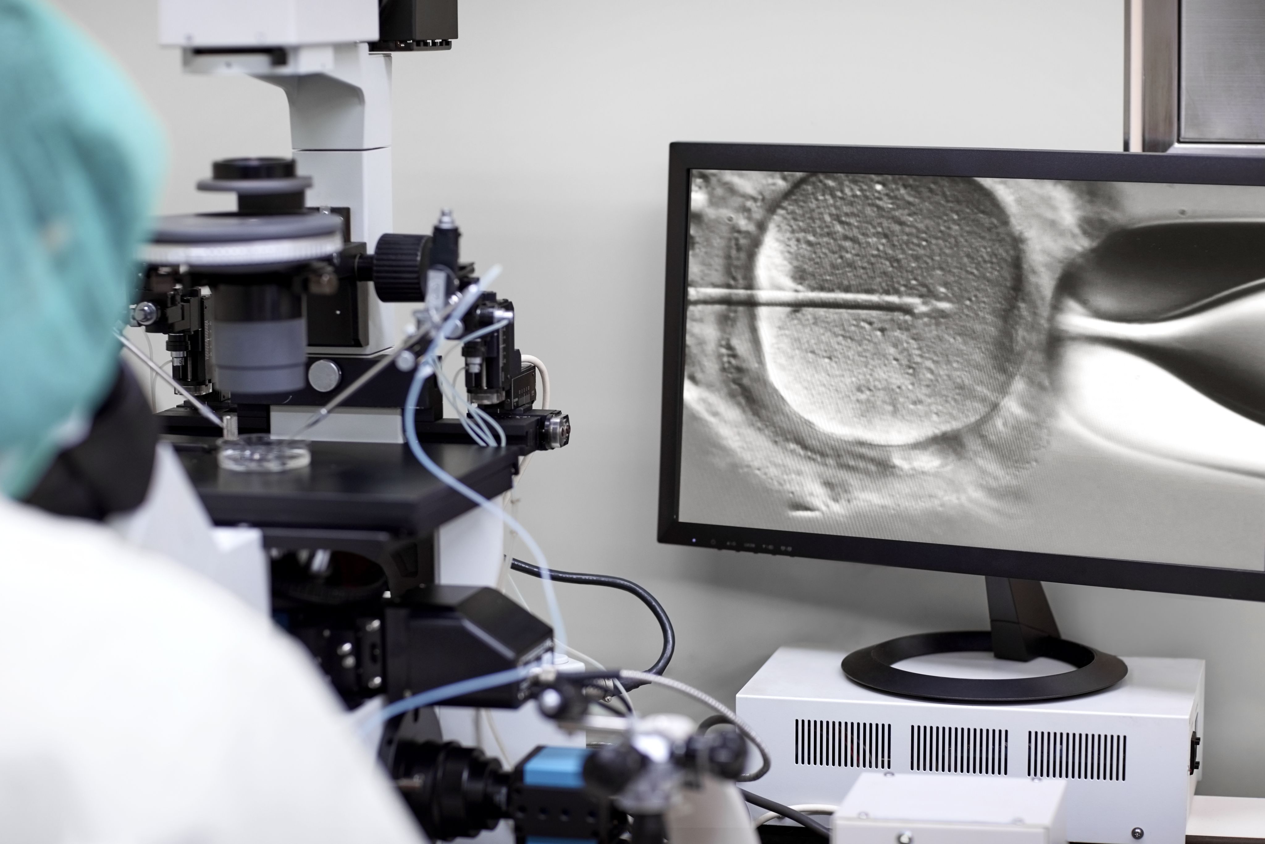 photo of an embryologist at work in an IVF lab